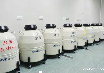 mve液氮罐 mve液氮罐