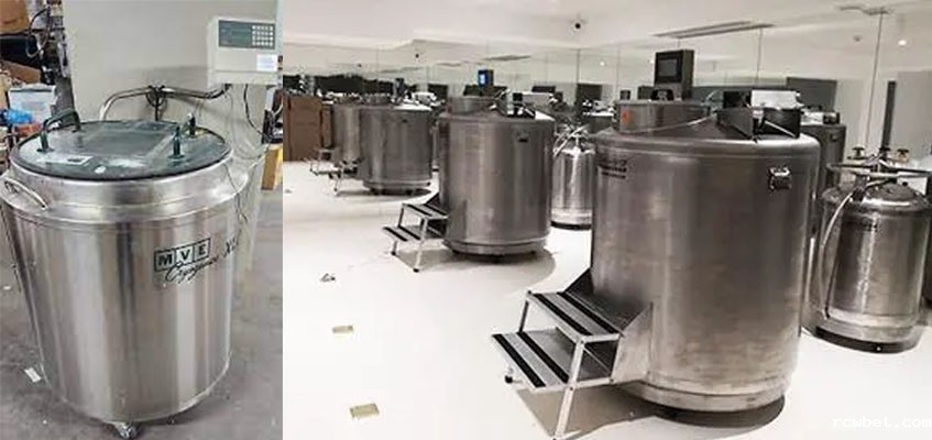 气相液氮罐 气相液氮罐