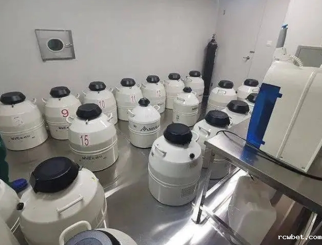 液氮储存 液氮储存