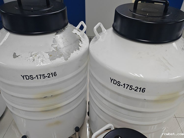 液氮罐掉漆发黄 液氮罐掉漆发黄