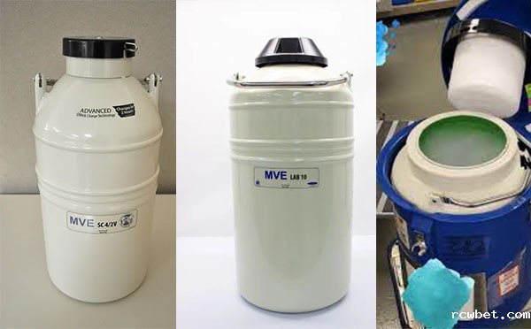mve航空液氮罐