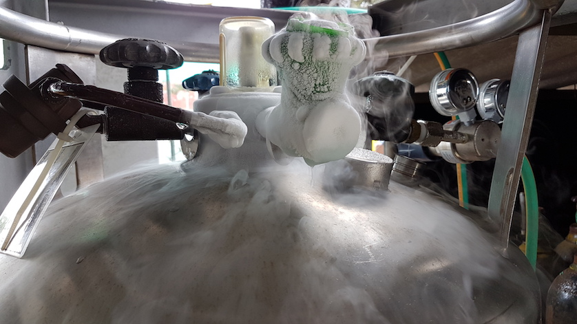 液氮罐阀组 液氮罐阀组