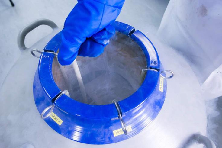 液氮罐生物样品